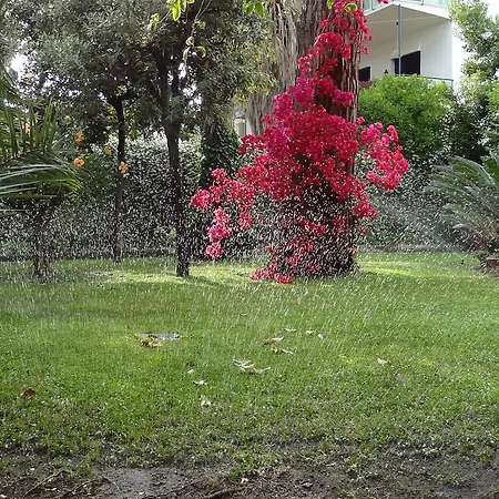 B&B Villa Fantasia-2